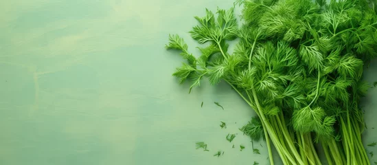 Foto op Aluminium green dill cluster isolated pastel background Copy space © HN Works