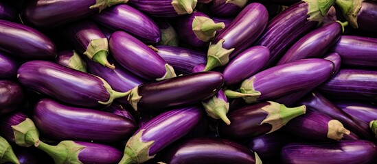 Fresh organic raw Eggplant displayed at a vegetable stall in Little India Singapore Vibrant...