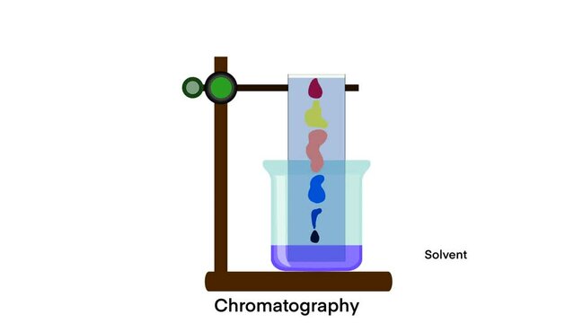 chromatography analytical method for the separation of a mixture into its individual components, Chromatography is a technique used to separate and analyze mixtures