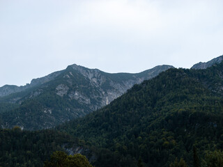 Fototapeta premium Mountain landscape with trees and big rocks in the Bavarian Alps in Europe. Beautiful nature of the famous travel destination in the south of Germany.