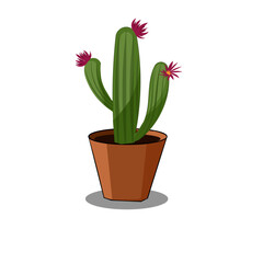 Cute cactus house plant growing in flower pot. free vector flat cactus illustration. cactus plant. Cartoon style cactus. potted plant isolated on white background