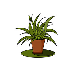 Home plants vector illustrations. houseplants growing in flower pot.
