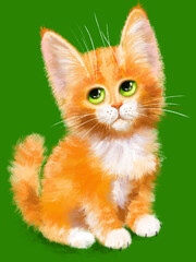 Hand-drawn Fluffy red cute kitten digital illustration