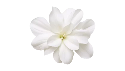 Foto op Canvas white flower isolated on transparent background cutout © Papugrat