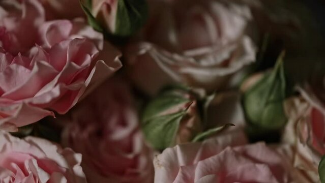 rotation of bouquet of pink roses in closeup. elegant wedding floral background, Valentine's Day concept. gift to beloved woman. delivery bouquets flowers. selective focus, shallow depth field.