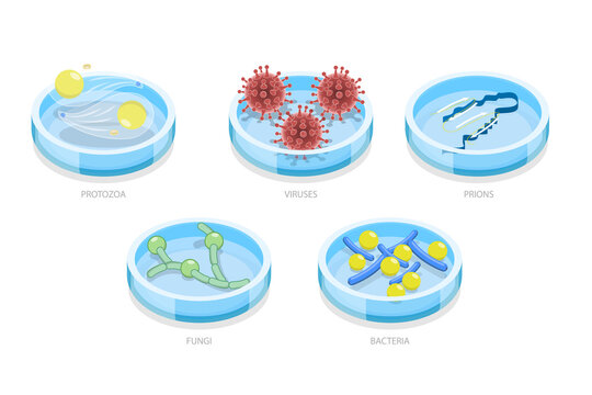 3D Isometric Flat  Set of Types Of Infectious Agents , Microorganism That Causes Diseases