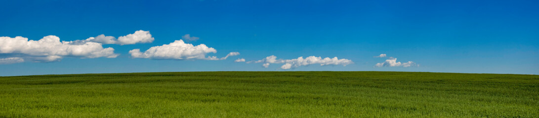 panoramic field horizon view.
