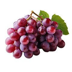 Fototapeta premium Cute Wine Generated AI