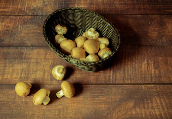 Antique-style still life with alcohol and mushrooms.