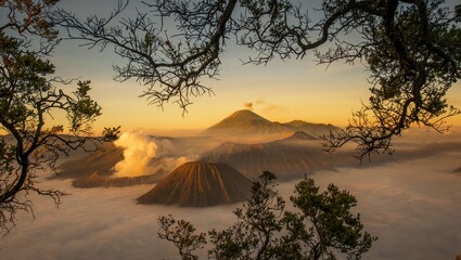 A morning view of volcano Bromo indonesia dense foggy sea is taken from the kingkong Hill spot, with trees in front landscape view