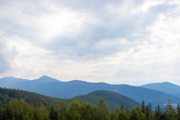 Obraz premium Mountain Forest, With Tall Trees and White Clouds, a Feeling of Blissful Happiness Permeates the Air