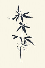 Сannabis plant in grunge style. Black silhouette of plant on light background, vintage style. Plant with ink print effect. Element for interior decoration, design, postcards, invitations.