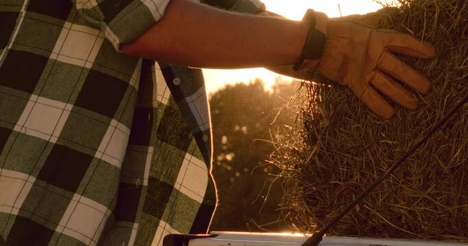 Caucasian male farmer loading hay bays into the pickup bed