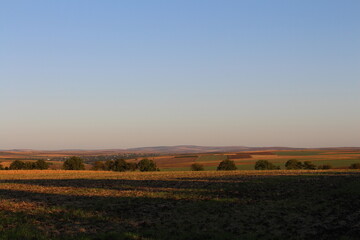 Fototapeta premium A field with a rainbow