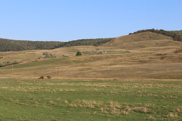 Fototapeta na wymiar A grassy field with hills in the background