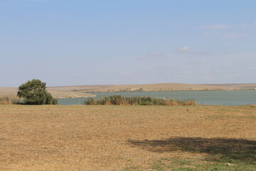 A large field with trees and water in the background