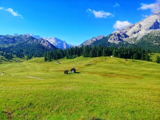 Fototapeta na wymiar A landscape of green meadows on a sunny summer day in the Dolomites, Italy. Green pasture and small farm huts in a valley in South Tyrol.