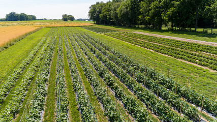 Fototapety na wymiar - Fototapeta24.pl