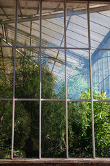 greenhouse with flowers.greenhouse building.growing tropical and exotic plants.many plants and greenery.glass transparent facade. design.landscaping.oasis in the city.large glass greenhouse with plant