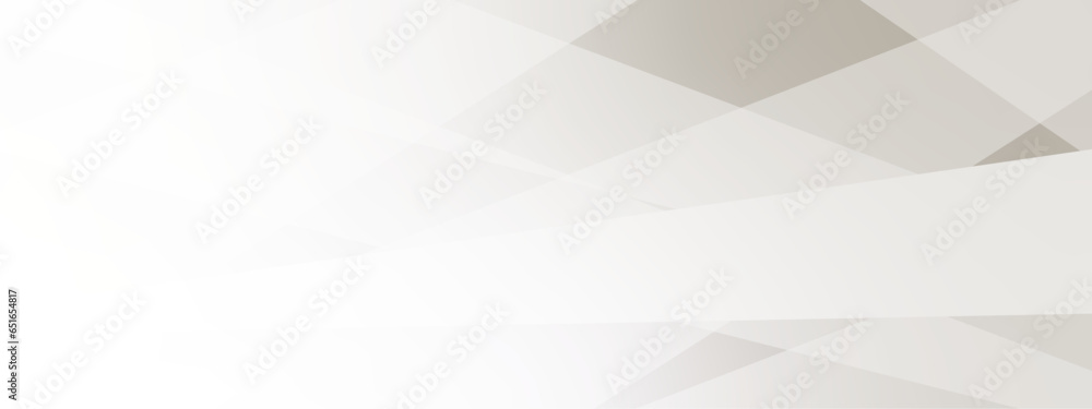 Poster abstract background with gray background with texture, white abstract modern background. geometry sh
