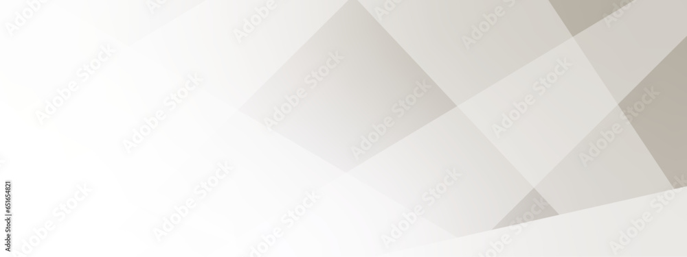 Poster abstract background with gray background with texture, white abstract modern background. geometry sh