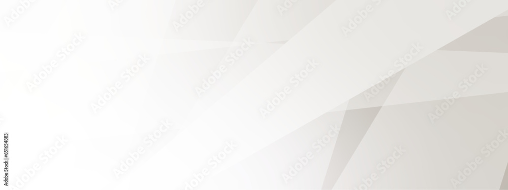 Poster abstract background with gray background with texture, white abstract modern background. geometry sh