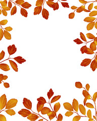 A frame made of autumn leaves. Autumn leaves vertical frame isolated on white background. Element for creating collage or design, postcards, wedding cards and invitations.
