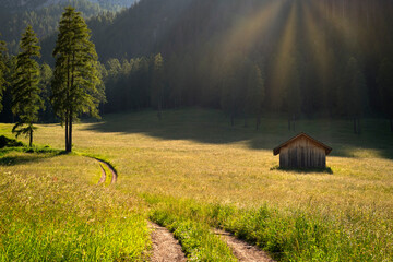 Curved path near wooden alpine hut in an autumn meadow illuminated by late afternoon sun. 