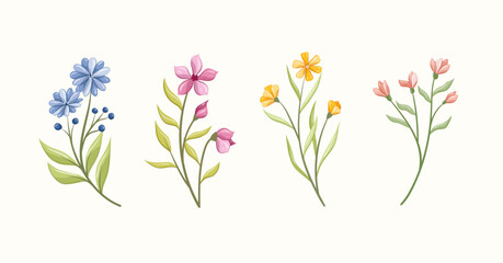 flower and leaves collection