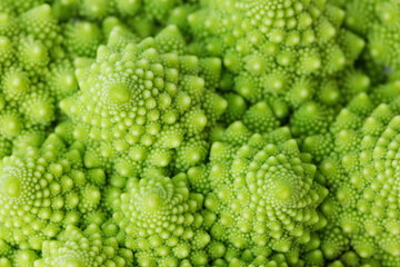 Green romanesco cauliflower close-up