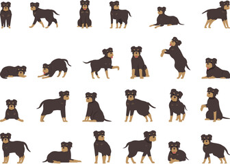 Rottweiler icons set cartoon vector. Animal dog. Cute pet