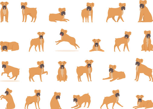 Boxer dog icons set cartoon vector. Animal face. Puppy pet