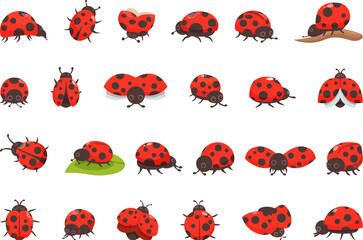Ladybug icons set cartoon vector. Bug insect. Animal wing