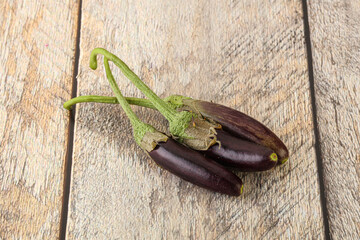 Baby organic purple eggplant heap