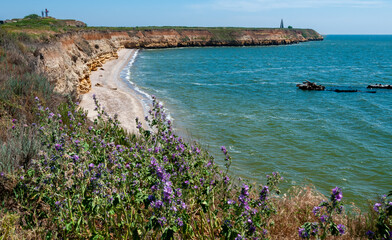 Blooming mallow against the backdrop of a steep cliff on the island of Berezan, Ukraine