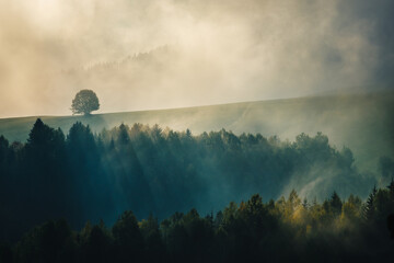 Autumn misty mountainous landscape with morning sun rays shining through the clouds. The Orava...