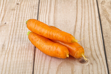 Yoiung natural organic carrot heap