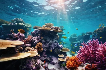 Schilderijen op glas Vibrant coral reef underwater, Underwater Wonders, Coral Paradises, Marine Biodiversity, Ocean Exploration, Aquatic Beauty, Undersea Photography © Leoarts