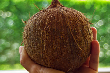 Man holds coconut in a hand, close-up.