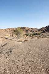 A vertical landscape featuring the majestic Hajar Mountains in the United Arab Emirates. This rocky expanse is set against a vibrant blue sky, providing ample copy space for your text or title