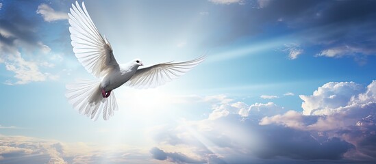 Dove symbolizing love and peace in sunny rainbow sky