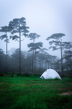 Phu Soi Dao National Park in the rainy season