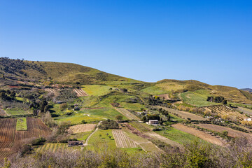 Fototapeta na wymiar Landscape with vineyards in the province of Marsala on the island of Sicily