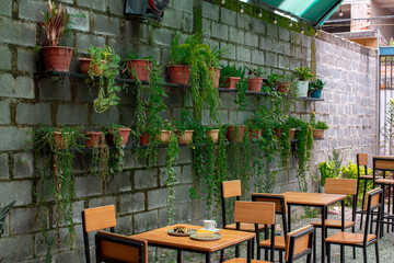 Restaurante con postres en la mesa y acompañado con muchas plantas en la pared en macetas