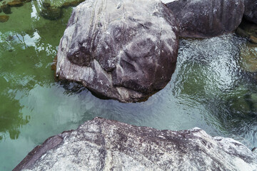 Exotic stones in a river in the jungle