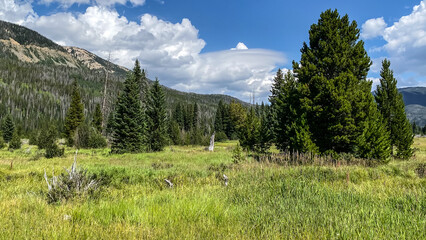 Holzwarth Historic Site in Rocky Mountain National Park