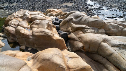 Exotic stones in a river in the jungle