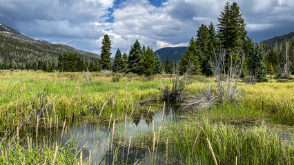 Holzwarth Historic Site in Rocky Mountain National Park