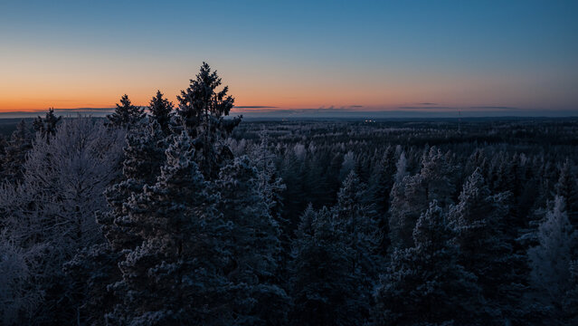 รูปภาพTree-Top – เลือกดูภาพถ่ายสต็อก เวกเตอร์ และวิดีโอ914 | Adobe Stock