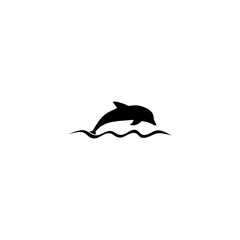  Dolphin icon isolated on white background 